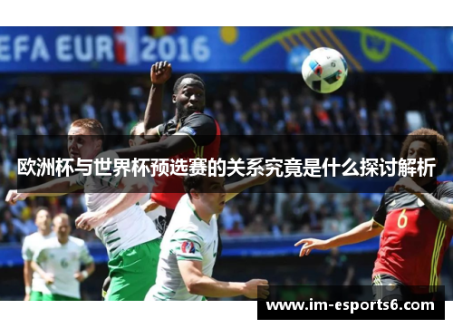 欧洲杯与世界杯预选赛的关系究竟是什么探讨解析