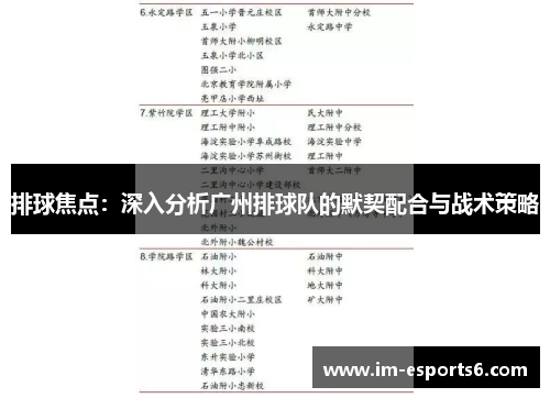 排球焦点：深入分析广州排球队的默契配合与战术策略