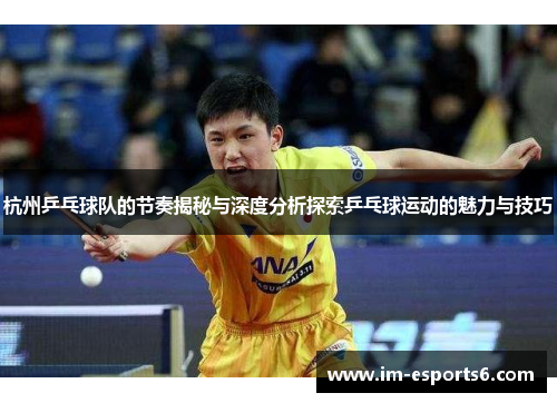 杭州乒乓球队的节奏揭秘与深度分析探索乒乓球运动的魅力与技巧