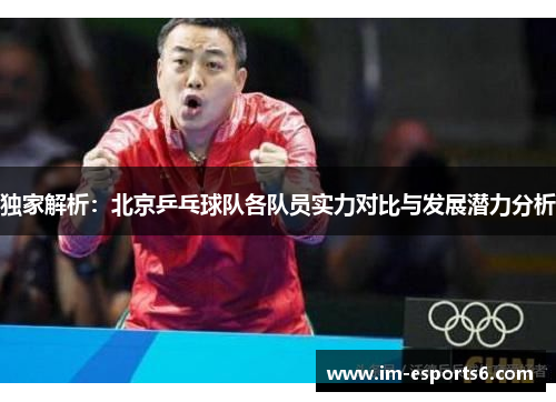 独家解析：北京乒乓球队各队员实力对比与发展潜力分析