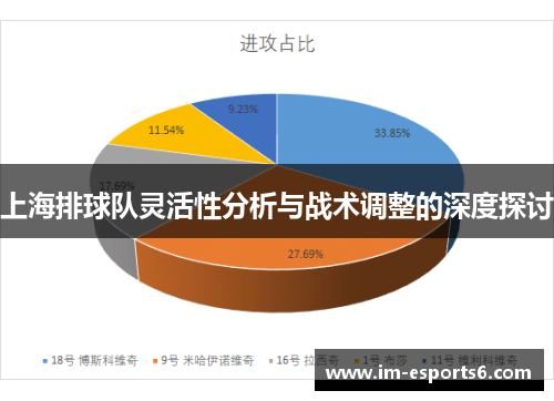 上海排球队灵活性分析与战术调整的深度探讨