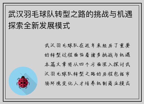 武汉羽毛球队转型之路的挑战与机遇探索全新发展模式